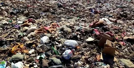 Biodegradable Pollutants in a landfill https://greener4life.com/blog/biodegradable-pollutants