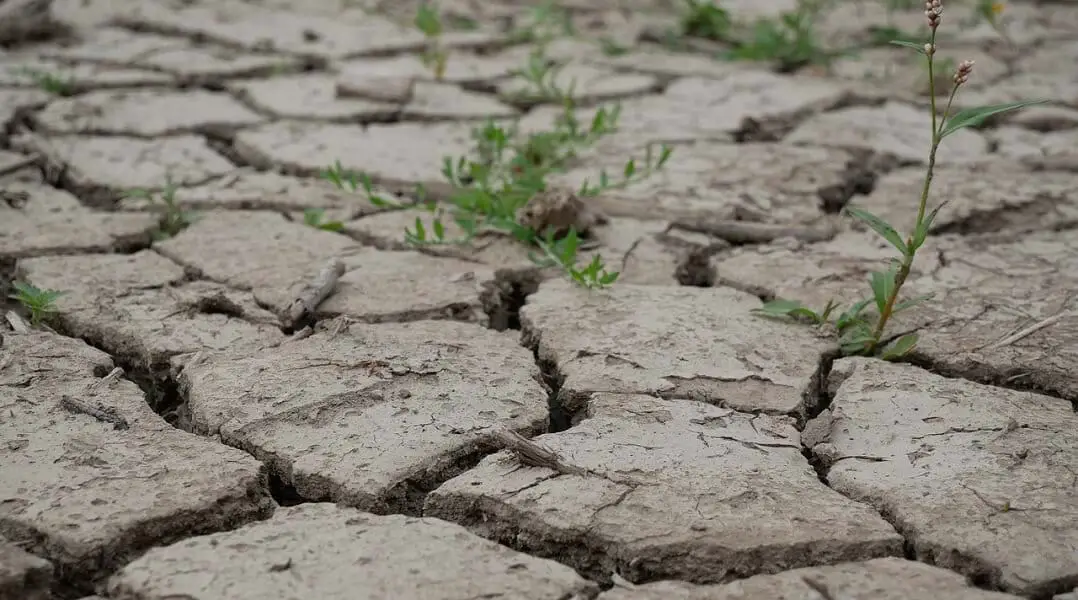 example of what dry clay soil looks like https://greener4life.com