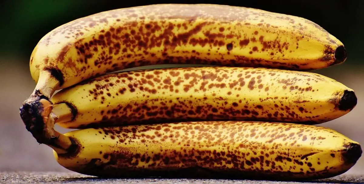 group of ripe bananas  https://greener4life.com/blog/banana-peel-fertilizer