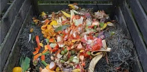 pile of organic material for compost https://greener4life.com/blog/difference-between-fertilizer-and-compost