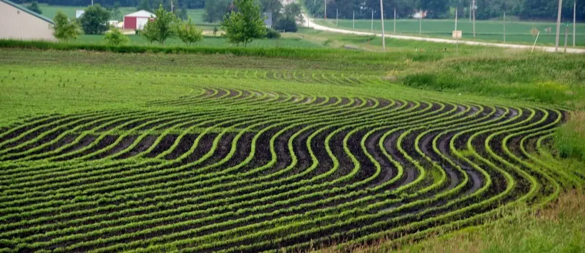 example of countour farming on hill https://greener4life.com/blog/contour-farming