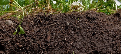what healthy soil with humic acids looks like https://greener4life.com/blog/humic-acid-fertilizer