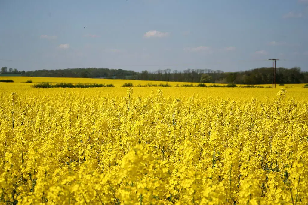 cycle for the entire fracking process